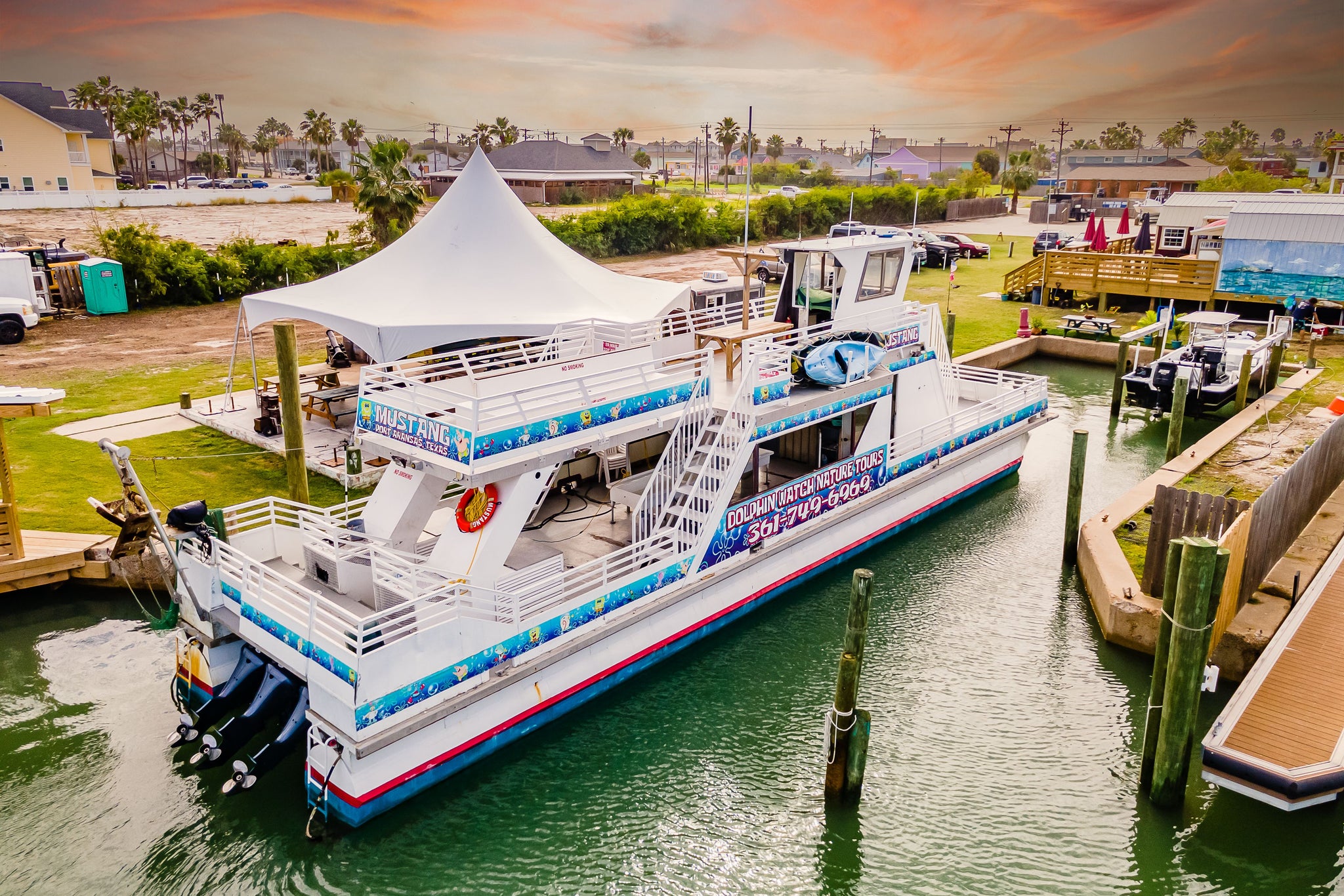 Miami Dolphins Boat and Golf Cart Flag